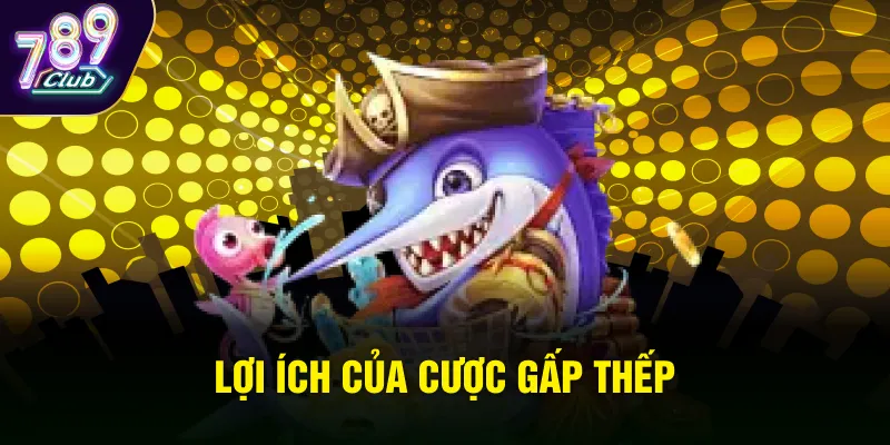 Lợi ích của cược gấp thếp